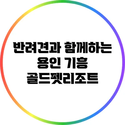 반려견과 함께하는 용인 기흥 골드펫리조트