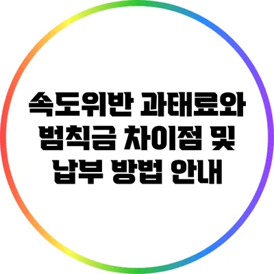 속도위반 과태료와 범칙금: 차이점 및 납부 방법 안내