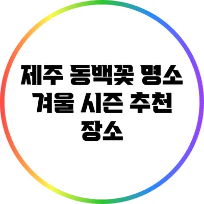 제주 동백꽃 명소: 겨울 시즌 추천 장소