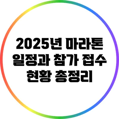 2025년 마라톤 일정과 참가 접수 현황 총정리