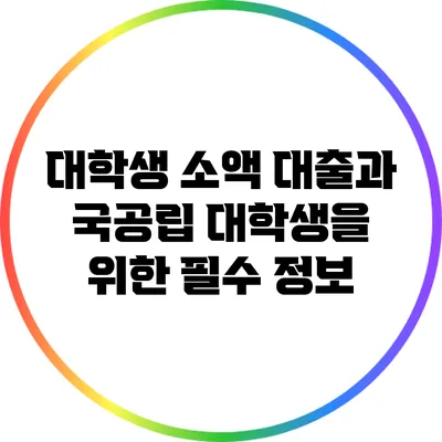 대학생 소액 대출과 국공립 대학생을 위한 필수 정보