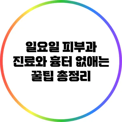 일요일 피부과 진료와 흉터 없애는 꿀팁 총정리