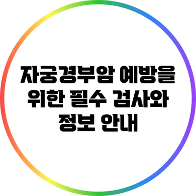 자궁경부암 예방을 위한 필수 검사와 정보 안내