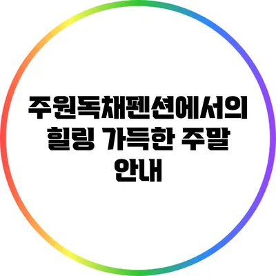 주원독채펜션에서의 힐링 가득한 주말 안내