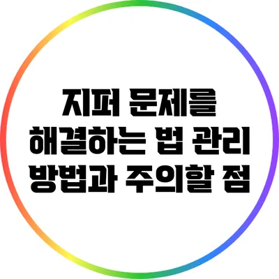 지퍼 문제를 해결하는 법: 관리 방법과 주의할 점