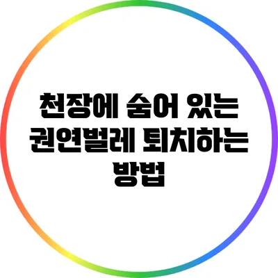 천장에 숨어 있는 권연벌레 퇴치하는 방법