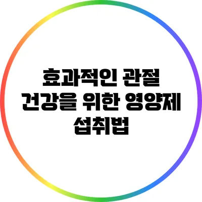 효과적인 관절 건강을 위한 영양제 섭취법