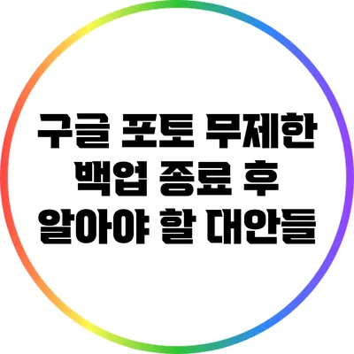 구글 포토 무제한 백업 종료 후 알아야 할 대안들