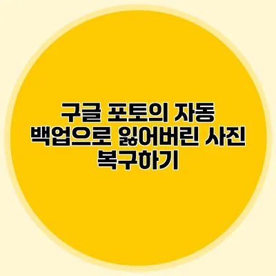 구글 포토의 자동 백업으로 잃어버린 사진 복구하기