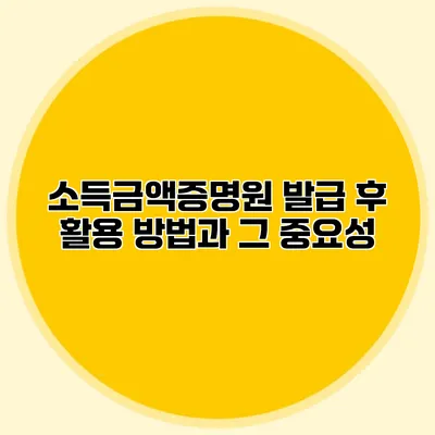 소득금액증명원 발급 후 활용 방법과 그 중요성