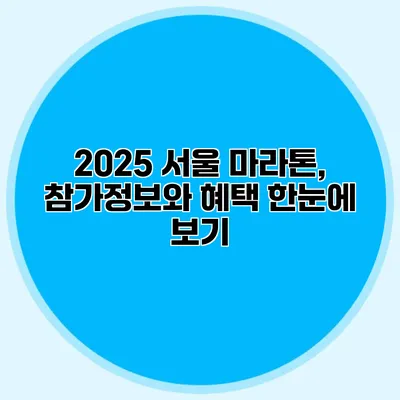 2025 서울 마라톤, 참가정보와 혜택 한눈에 보기