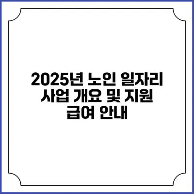 2025년 노인 일자리 사업 개요 및 지원 급여 안내