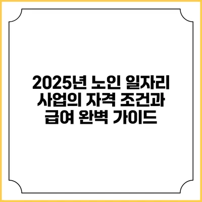 2025년 노인 일자리 사업의 자격 조건과 급여 완벽 가이드