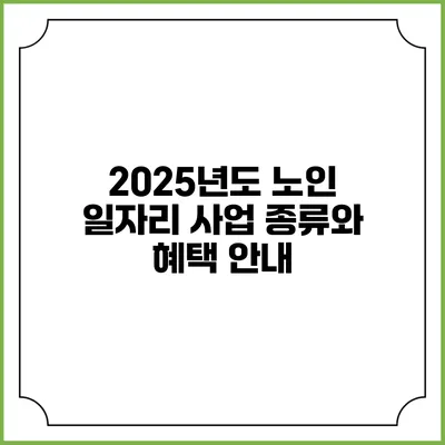 2025년도 노인 일자리 사업 종류와 혜택 안내