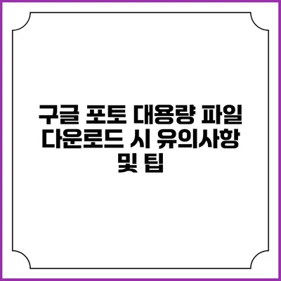 구글 포토 대용량 파일 다운로드 시 유의사항 및 팁