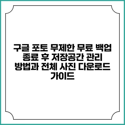 구글 포토 무제한 무료 백업 종료 후 저장공간 관리 방법과 전체 사진 다운로드 가이드