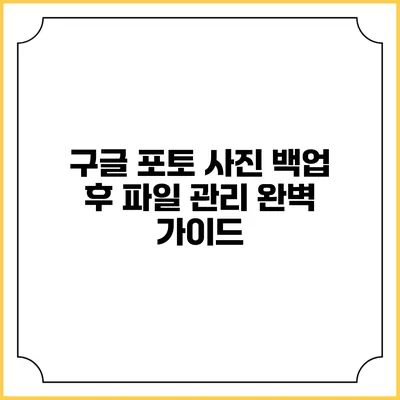 구글 포토 사진 백업 후 파일 관리 완벽 가이드