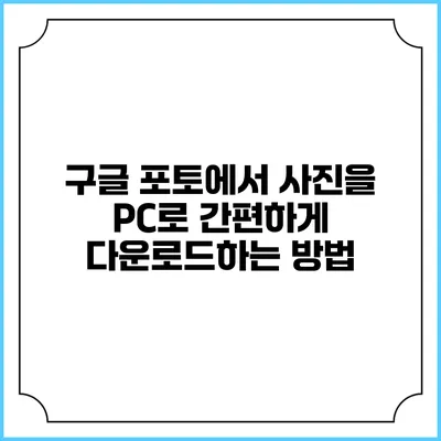 구글 포토에서 사진을 PC로 간편하게 다운로드하는 방법