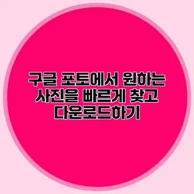 구글 포토에서 원하는 사진을 빠르게 찾고 다운로드하기