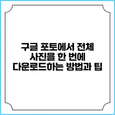 구글 포토에서 전체 사진을 한 번에 다운로드하는 방법과 팁