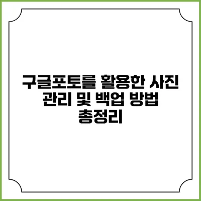 구글포토를 활용한 사진 관리 및 백업 방법 총정리