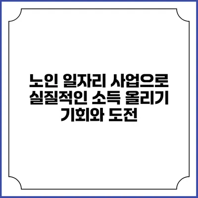 노인 일자리 사업으로 실질적인 소득 올리기: 기회와 도전