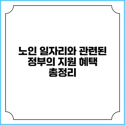 노인 일자리와 관련된 정부의 지원 혜택 총정리