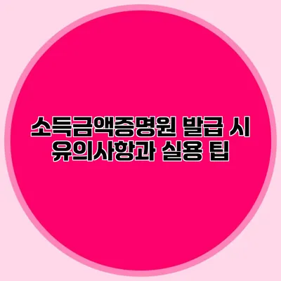 소득금액증명원 발급 시 유의사항과 실용 팁