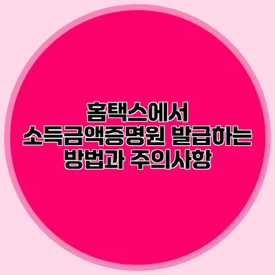홈택스에서 소득금액증명원 발급하는 방법과 주의사항
