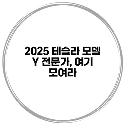 2025 테슬라 모델 Y 전문가, 여기 모여라