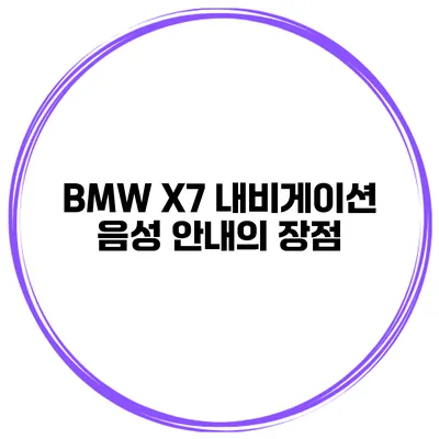 BMW X7 내비게이션 음성 안내의 장점