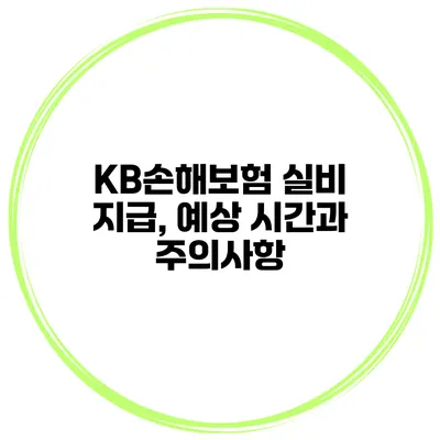 KB손해보험 실비 지급, 예상 시간과 주의사항
