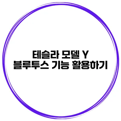 테슬라 모델 Y 블루투스 기능 활용하기