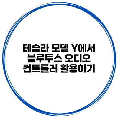 테슬라 모델 Y에서 블루투스 오디오 컨트롤러 활용하기